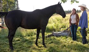 Ranč Heartland V (11)