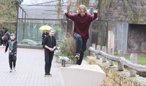 ZOO (196)