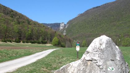 Návraty k divočině (7)