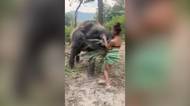 Objímání se slonem se nekonalo, rušit ho při svačině byl hodně špatný nápad