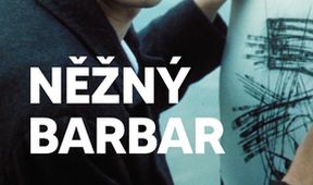 Něžný barbar