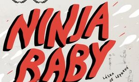 Ninjababy