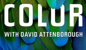 Život v barvě s Davidem Attenboroughem (1)