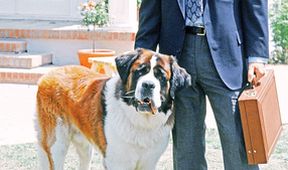 Beethoven