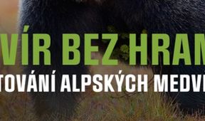 Revír bez hranic - putování alpských medvědů