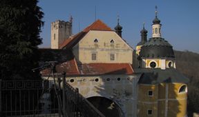Návraty k divočině