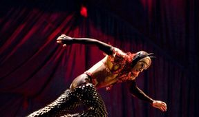 Cirque du Soleil: Kooza