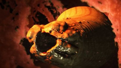 Nestvůry ve mně VI (6)