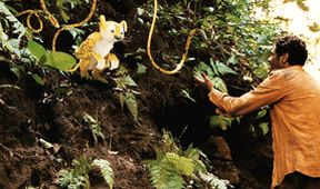 Po stopách Marsupilamiho