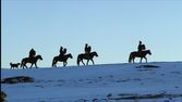 Poslední lovci v Mongolsku