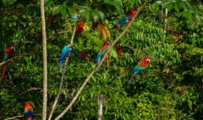 Peru: Divoké bojiště (2)