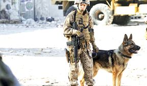 Megan Leavey