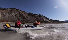 Alsek ledová řeka