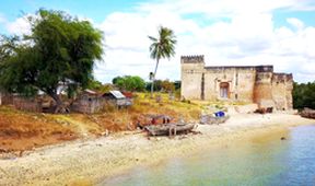 Tanzanie, ze Zanzibaru do Kilwy