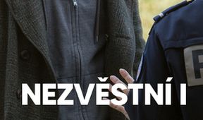 Nezvěstní (8)