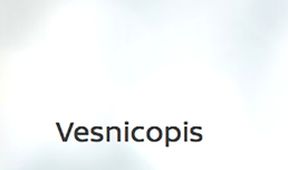 Vesnicopis