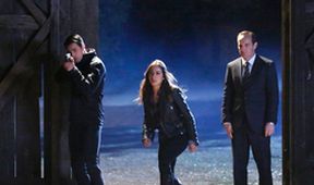 Agenti S.H.I.E.L.D. (9)