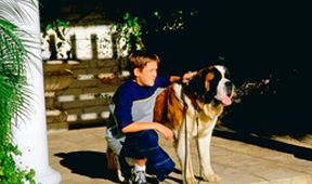 Beethoven 3