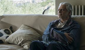 Komisař Montalbano