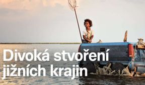 Divoká stvoření jižních krajin