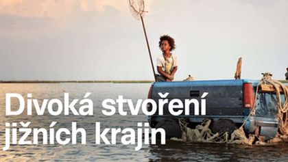 Divoká stvoření jižních krajin