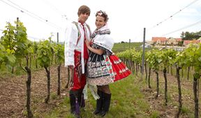 Vinaři (12)