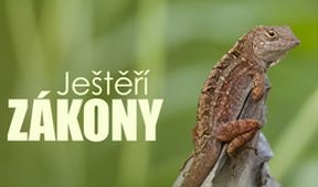 Ještěří zákony