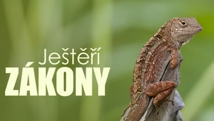 Ještěří zákony