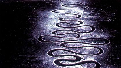 Andy Goldsworthy (1/2)