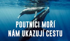 Poutníci moří nám ukazují cestu