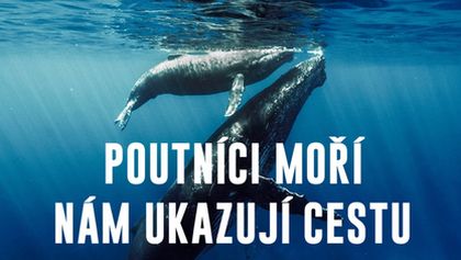 Poutníci moří nám ukazují cestu
