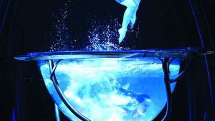 Cirque du Soleil: Amaluna