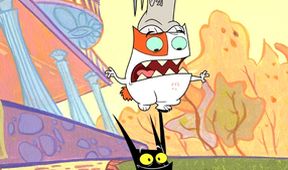 Kočkoškrab (36/40)