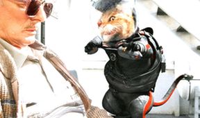 Jako kočky a psi: Pomsta prohnané Kitty