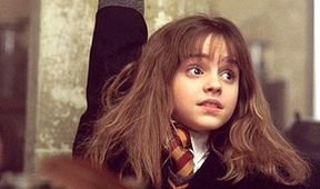 Harry Potter a Kámen mudrců