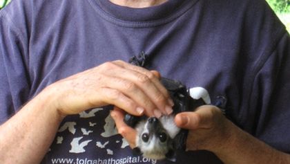 Jenny, doktorka letounů