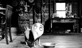 Frankenweenie: Domácí mazlíček