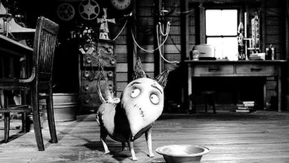 Frankenweenie: Domácí mazlíček