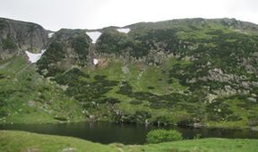 Divočina bez hranic (5)