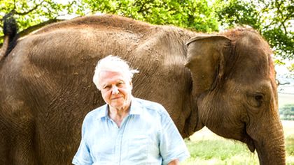 David Attenborough a obří dinosaurus