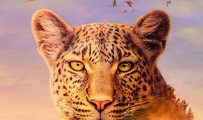 Zázračná planeta: Serengeti II (1/6)