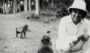 Chaplin na Bali