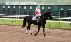 Ruffian
