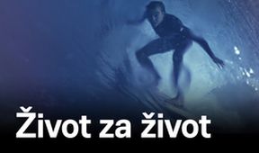 Život za život
