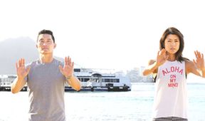 Hawaii 5-0 VII (3)