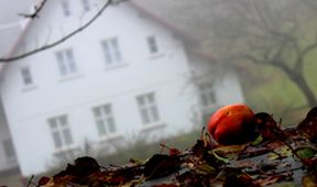 Poslední odcházení Václava Havla