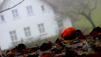 Poslední odcházení Václava Havla