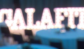 GalaFit