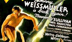 Tarzan - k pramenům legendy