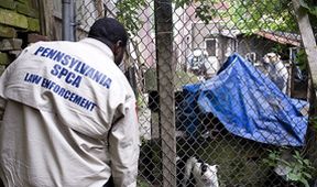Veterinární policie Filadelfie XII (4)
